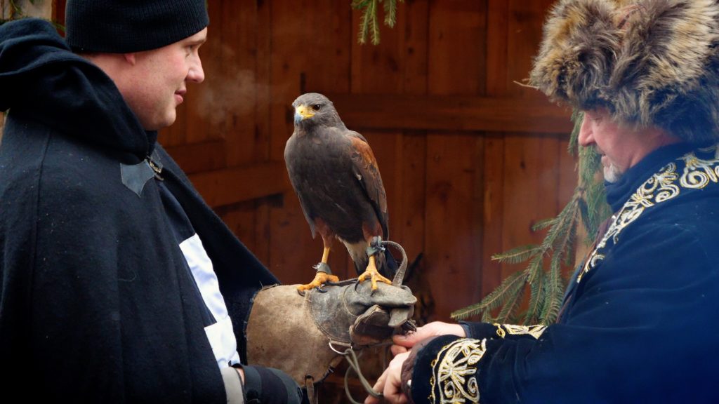 Falconry is one of the coolest things to see at the Schloss Guteneck Christmas Market!