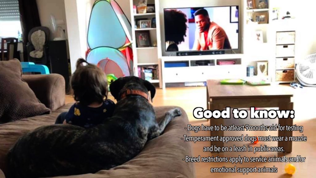 Pets are members of our family who also experience stress, love, anxiety, and excitement. Make sure they have an easy PCS to Germany, too!