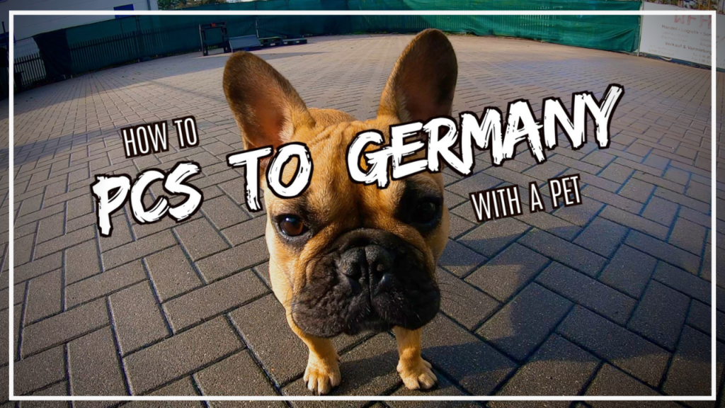 Stressed about how to PCS to Germany with pets? DTV Daniel Television has a complete guide to help you through it!
