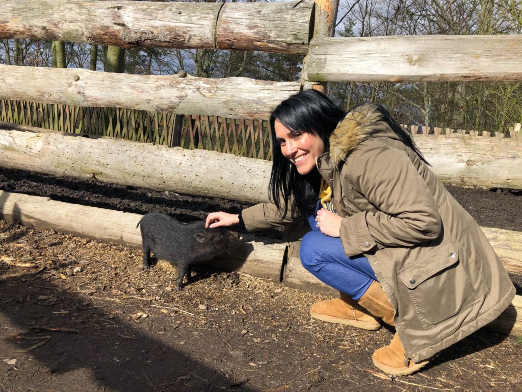 The mini zoo at the Diana Observation Center has to be on your list of things to do in Karlovy Vary!