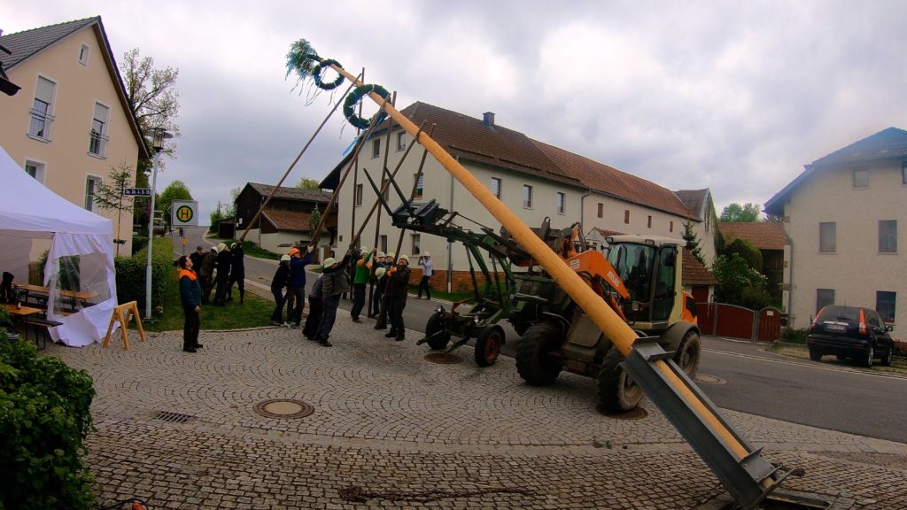 It usually takes a combination of strong men and tractors to raise a Maibaum safely!