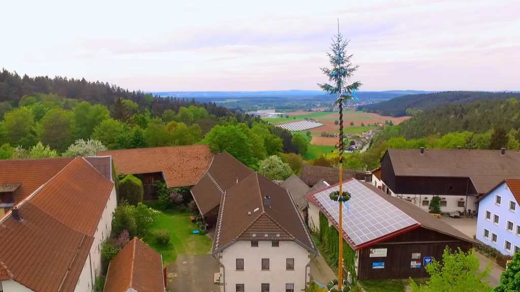 The Maypole (maibaum) can be anywhere between 18-30 meters tall! Learn more about May 1st Holiday celebrations at dtvdantieltelevision.com