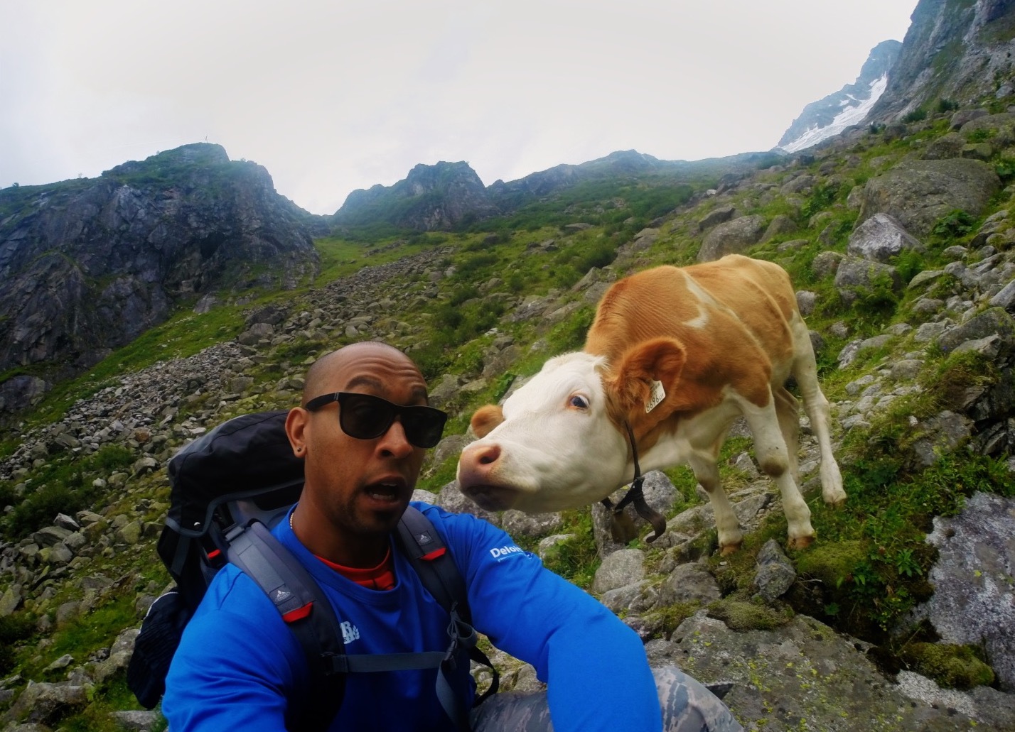 Visit Austria to get upclose and personal with nature! Read my travel blogs at dtvdanieltelevision.com