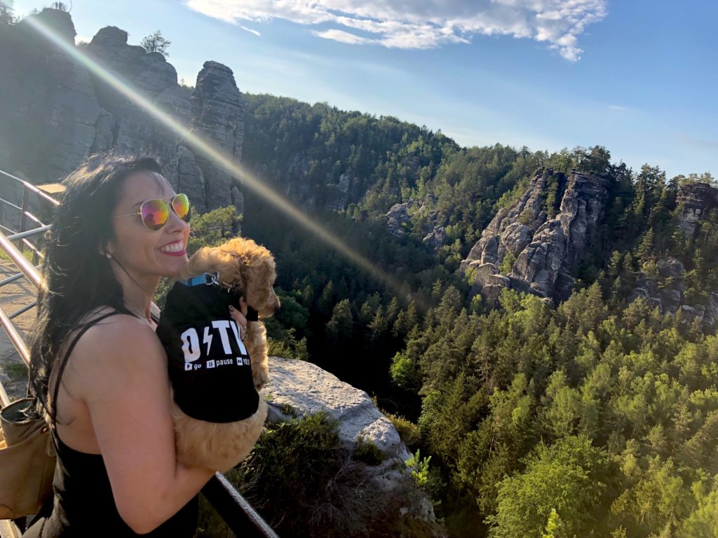 Every puppy needs a branded t-shirt!