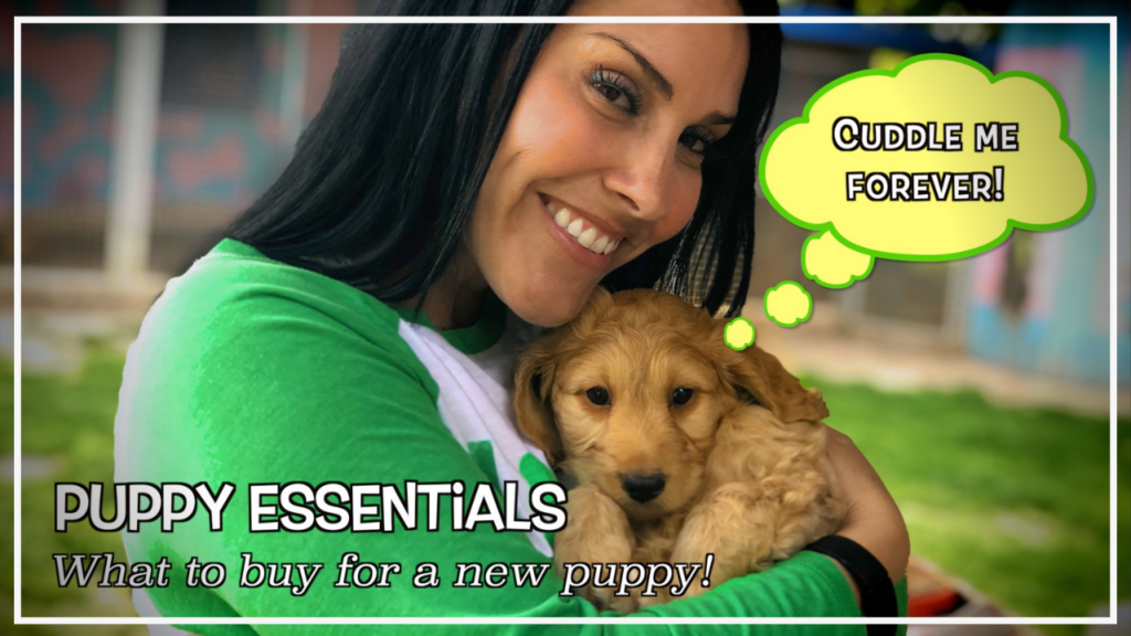 Don't know what to buy for your new puppy? Start here with our puppy essentials shopping list! dtvdanieltelevision.com