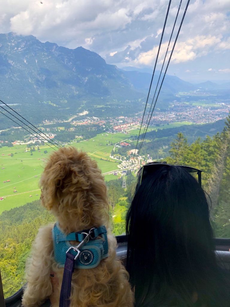 Riding the mountain cable car up to the Alpspitz