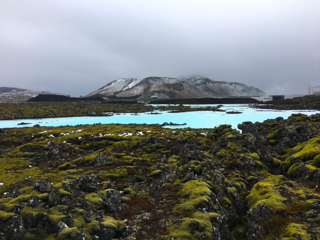 Green moss growing on top of lava rock with aqua blue thermal pools at the blue lagoon in Iceland