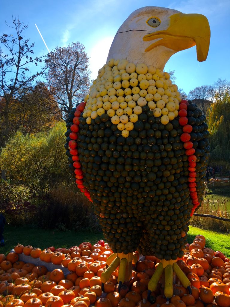 Bald eagle made of pumpkins in Ludwigsburg germany
