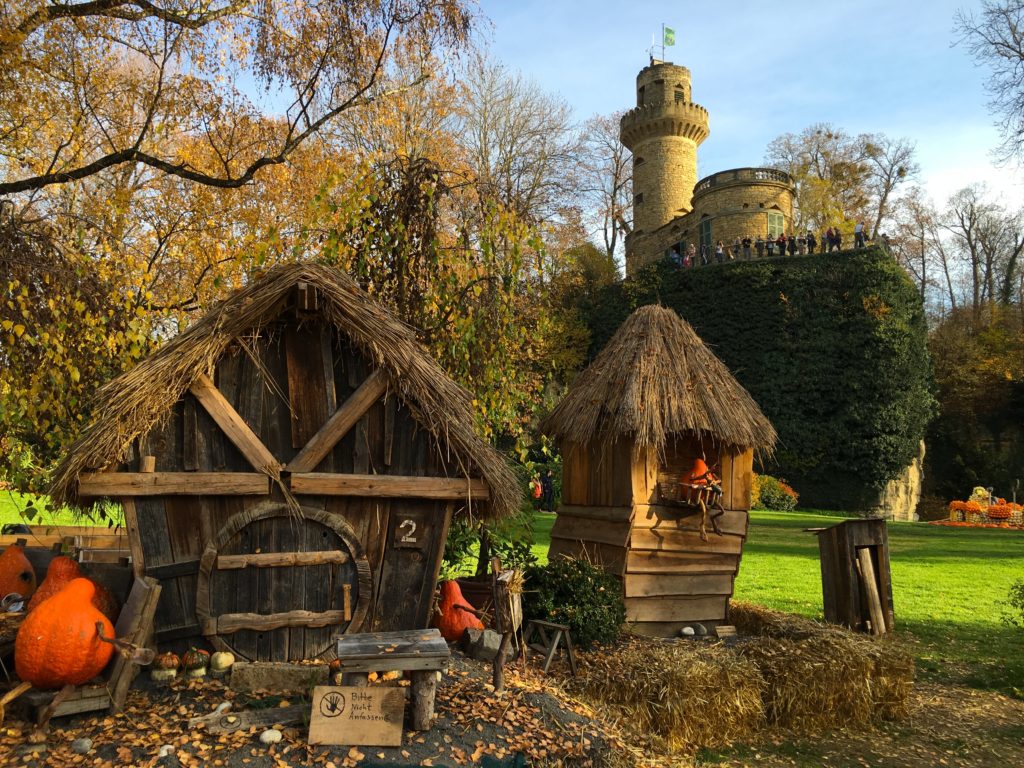 Pumpkin patch and tower in the Ludwigsburg garden