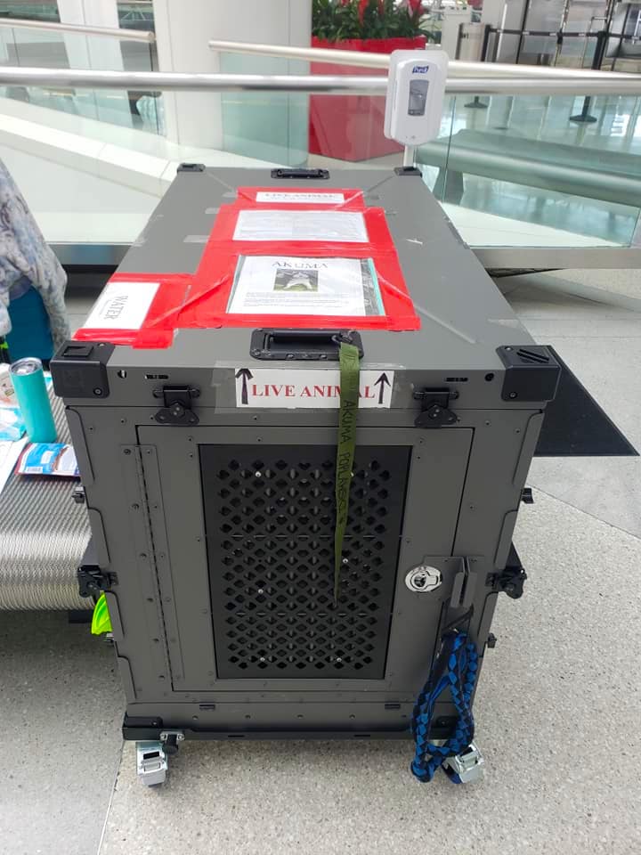 pet kennel at BWI for patriot express flight