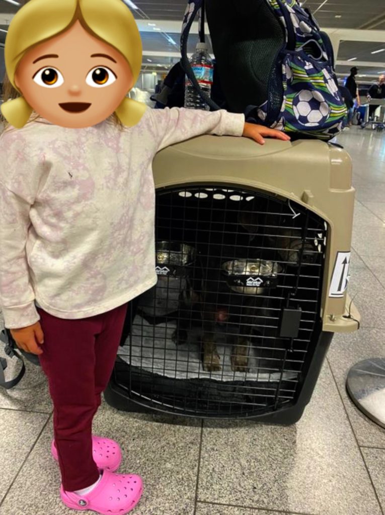 child and dog waiting to PCS to germany on commercial flight
