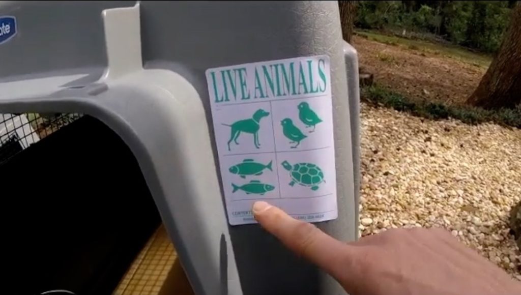 live animals sticker for your pcs to germany with a pet