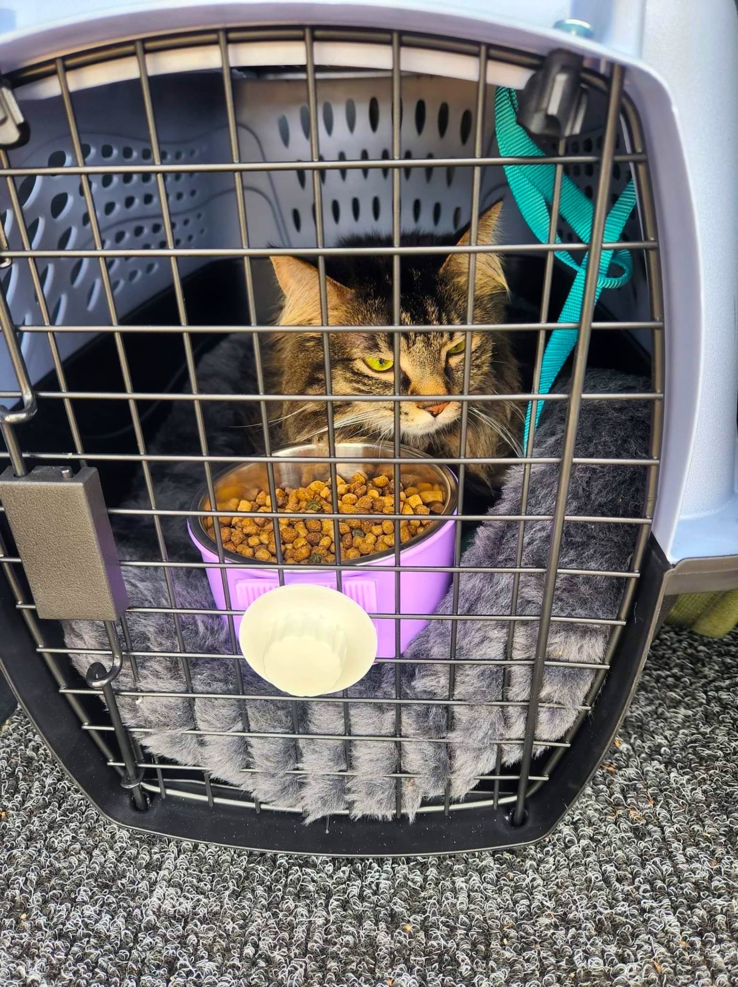 What it’s REALLY like to PCS to Germany The Military Family Experience