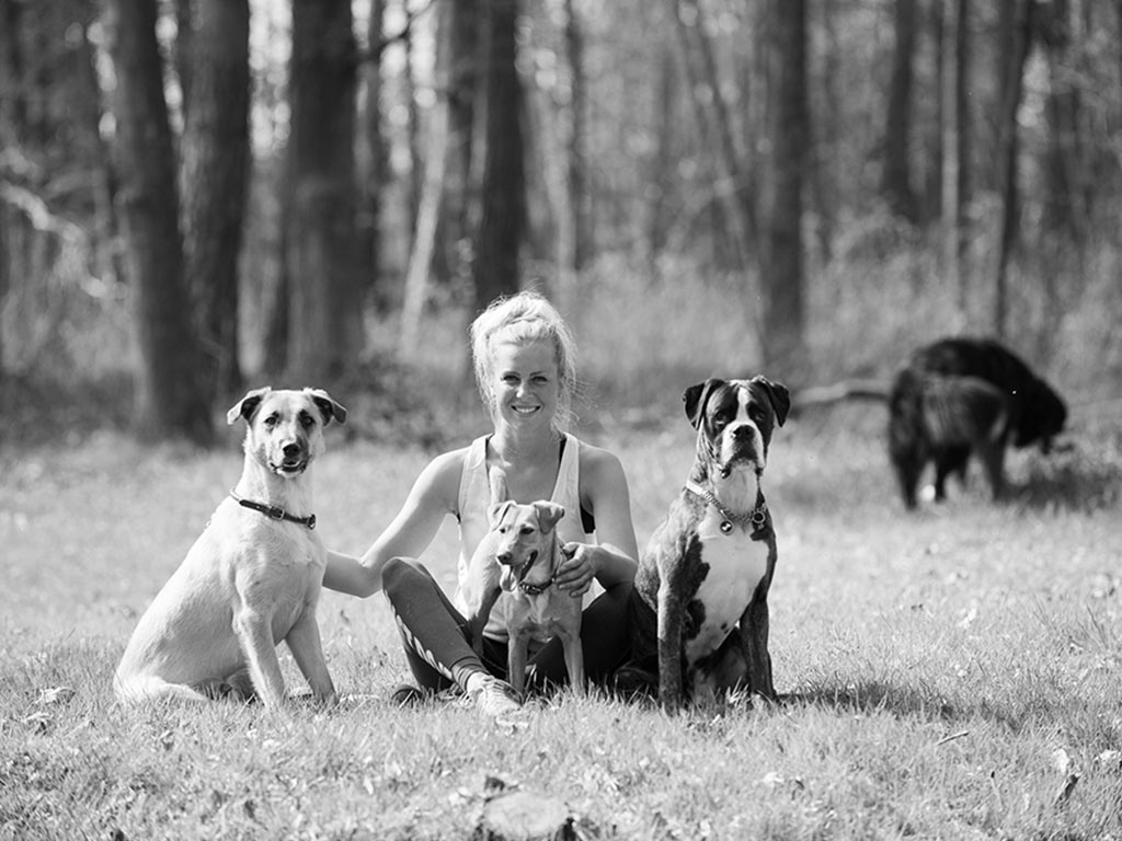Dog care weiden germany