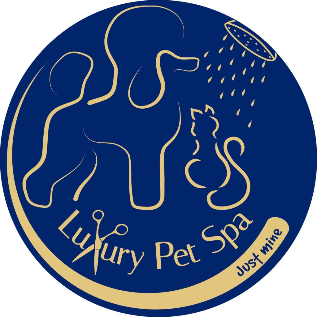 luxury pet spa and pet grooming in vilseck germany